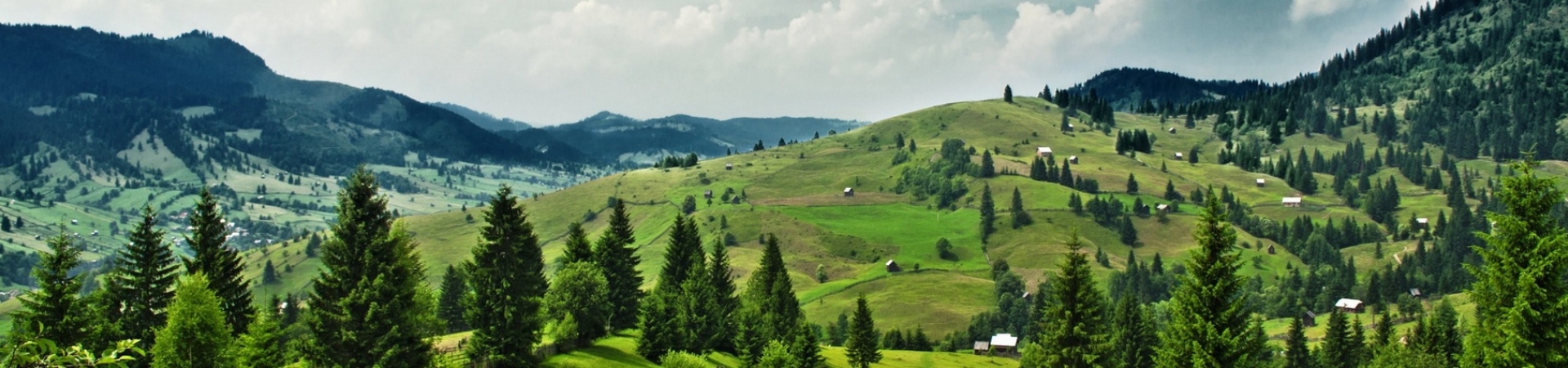 Bucovina and Neamt County Tours